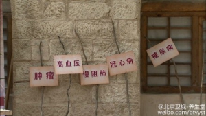 《养生堂》20150826视频笔记:《爱行万里 情暖老区—调平衡》冬病夏治应该怎么应用？