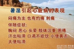 《养生堂》20150827视频笔记:巧祛湿邪护心脉 祛暑湿代茶饮 祛暑湿的中药