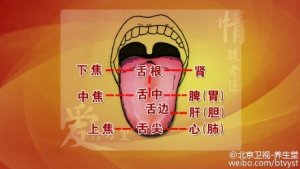 《养生堂》20150901视频笔记:手诊知健康 手诊、面诊和舌诊上脾胃疾患的早期信号
