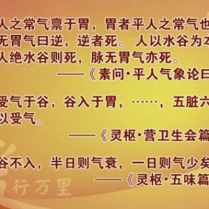 《养生堂》20150903视频笔记:巧用饮食祛病养生 利用荷叶保护心血管、改善高血脂