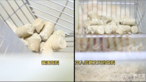 《养生堂》20150911视频笔记:《防癌卫士“薯”第一》不同种类红薯的养生功效