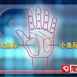 聚健康20150918: 裴学义讲《小儿王献长寿方-4》
