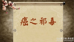 《养生堂》20150925:《抗癌名医 防癌大法-1》气虚与癌症的关系