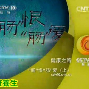 《健康之路》20150928:陈伟讲“肠”恨“肠”爱(上)肠道菌群紊 肠癌 反式脂肪酸
