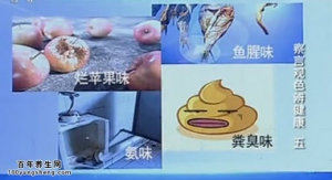 《健康之路》20151004:察言观色辩健康（五）尿液泡沫知健康 血尿的原因