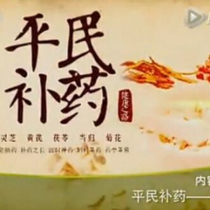《健康之路》20151010:平民补药菊花  菊花的养生补益功效 饮用菊花茶的禁忌