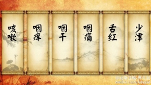 《养生堂》20151015:胡慧《三边三间养肺穴》燥邪伤肺、痰热壅肺的典型症状及穴位治疗