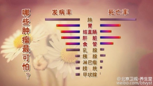《养生堂》20151019视频笔记:《吃出来的癌症》癌症与食物药物的关系