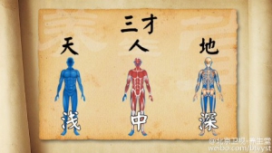 《养生堂》20151026笔记:程凯讲《健康“手”中求—调代谢》三才取穴调代谢 颤腹法 振腹法