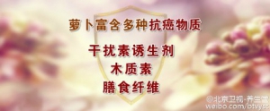 《养生堂》20151030视频笔记:张晔 何亮讲《神奇萝卜巧防癌》萝卜的养生功效