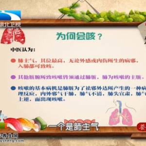饮食养生汇20151105视频和笔记:张纾难讲咳嗽用药误区 咳嗽的分类及症状