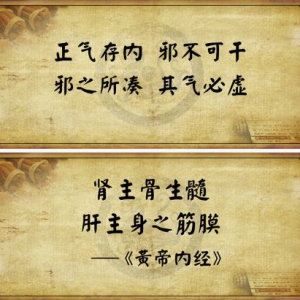 《养生堂》20151107视频笔记:《药酒养生-壮筋骨》加味左归壮骨酒 苏木红花酒