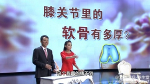 《养生堂》20151110视频笔记:《关节发出的求救信号》如何保护膝关节