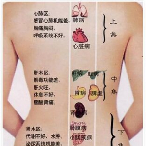 保养后背=保命！比养脸还重要！