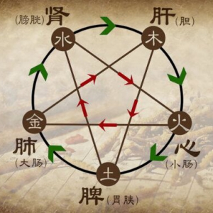 《养生堂》20151112视频笔记:《养肺三杯茶》三参五味茶 天花蜜茶 鱼腥草桔梗茶