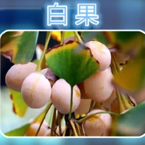 聚健康2015年11月17日：张冰讲《亦药亦食享天年-7》