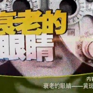 《健康之路》20151117视频笔记:宋旭东讲黄斑病变的典型表现及预防