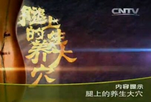 《健康之路》20151122视频笔记:《腿上的养生大穴》足三里穴 巨虚穴 委中穴 放血疗法