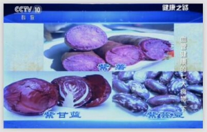 《健康之路》20151129笔记:血管健康的七大食物（下）花青素的养生功效 红烩芸豆