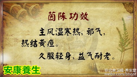 茵陈的功效