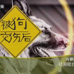 《健康之路》20151214笔记:《被狗咬后》狂犬病的早期表现、被狗咬伤后如何清洗伤口？