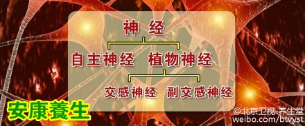 养生堂20151221视频笔记:梁雨露《化解夜间“心”危机》顽固性心绞痛