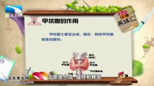 饮食养生汇20151228视频和笔记:江学庆《脖子上的蝴蝶结-甲状腺》