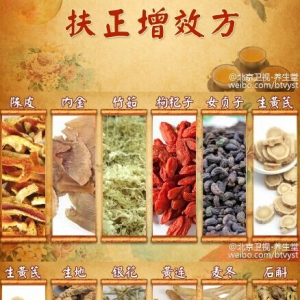《养生堂》20160116笔记:扶正增效方、滋阴茶、扶正解毒方、归芪汤、四宝茶秘方
