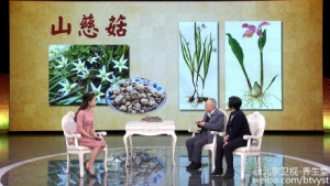 《养生堂》20160117笔记:《祛邪三法抗肿瘤》蘑菇的抗癌作用对抗肿瘤方法