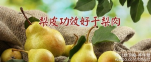 《养生堂》20160118笔记:桑杏汤、二根梨皮水、预防上火代茶饮、宣肺解毒汤