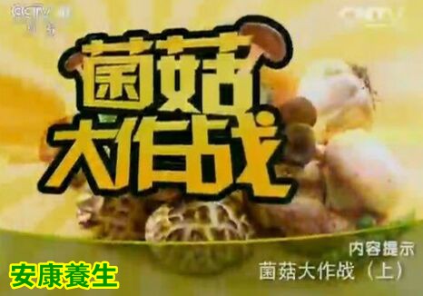 《健康之路》20160814视频:张春荣、菌菇大作战(上)、木耳银耳的药用功效