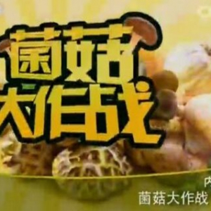 《健康之路》20160124视频:菌菇大作战（下）猴头菇的养生功效、猴头汤、松茸的养生功效
