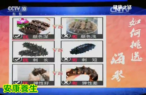 《健康之路》20160209视频和笔记:何丽讲《餐桌上的春节(二)》