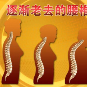 《养生堂》20160217视频和笔记:《走进腰椎的3D世界》如何保护腰椎？