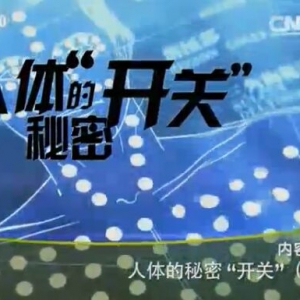 《健康之路》20160220视频和笔记:针灸缓解偏头痛、刮痧缓解牙痛、按摩穴位缓解肩颈痛