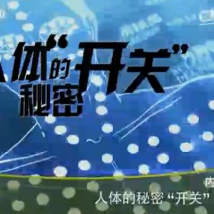 《健康之路》20160222:人体的秘密开关3、艾灸缓解腹部寒凉、祛寒保暖的运动、自制热敷贴