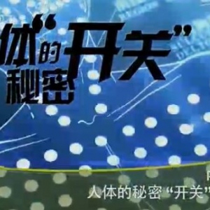 《健康之路》20160223:人体的秘密开关4、针刺疗法去色斑、按摩穴位补肾气