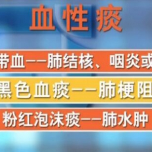 聚健康20160301视频笔记:外感热病巧辩证（3）温热壅肺证的症状表现、清热润肺粥