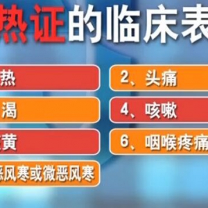 聚健康20160229视频笔记:外感热病巧辩证（2）桑菊薄荷饮、表热证的症状表现