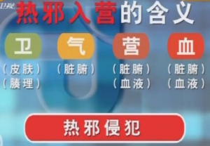 聚健康20160303视频:外感热病巧辩证（5）热邪入营证的症状表现