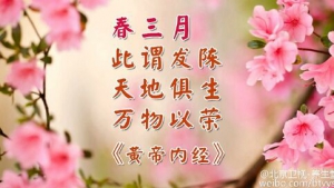 《养生堂》20160310视频和笔记:黄芪银耳杏仁茶、风邪的危害、疏肝香囊和药枕