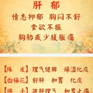 《养生堂》20160318视频:《春分时节话养生》春季疏肝茶、春季平肝茶、春季养肝茶