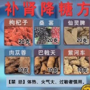 甘肃卫视20160321聚健康：《奇穴保健方（6）》补肾降糖方