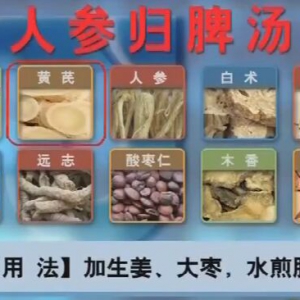 甘肃卫视20160325聚健康：《撑起女性保护伞（3）》人参归脾汤