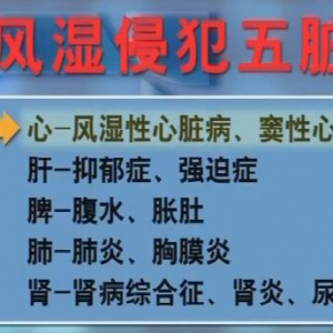 甘肃卫视20160401聚健康：《揭开风湿真面目》五枝汤、缓解风湿病保健操