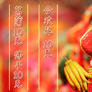 《养生堂》20160404笔记:佛手香囊、脾胃寒湿的症状、草果茶、脾胃虚弱的症状、枳术荷叶饭
