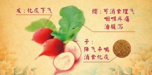 北京卫视《养生堂》20160405视频和笔记:《名老中医话三宝-话痰湿》中医经典祛湿方