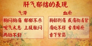 《养生堂》20160414笔记:气滞血瘀与冠心病的关系、肝气郁结都的表现与调理、玫瑰花代茶饮