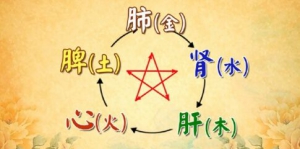 《养生堂》20160429视频笔记:花宝金、李光熙、癌症的土壤、肺癌、结节、气机失调