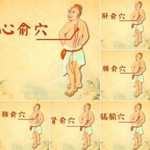 北京卫视20160506《养生堂》实秘、虚秘、肝肾亏虚、失眠、心肝火旺、心肾不交、心脾两虚